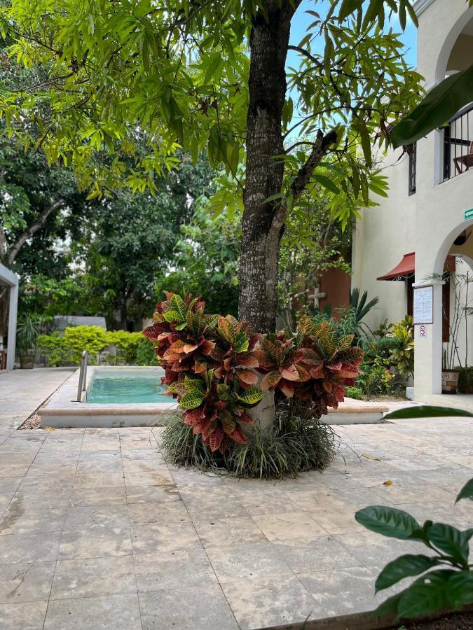 Casa Valladolid Boutique Hotel Ngoại thất bức ảnh